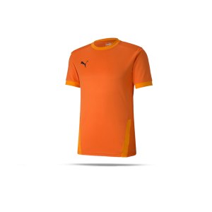 puma-teamgoal-23-trikot-kurzarm-kids-orange-f08-fussball-teamsport-textil-trikots-704160.png