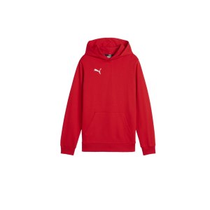 puma-teamgoal-casuals-hoody-kids-rot-f01-658619-teamsport_front.png
