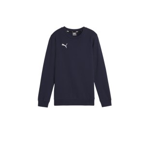 puma-teamgoal-casuals-sweatshirt-kids-blau-f06-658593-teamsport_front.png
