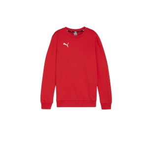 puma-teamgoal-casuals-sweatshirt-kids-rot-f01-658593-teamsport_front.png