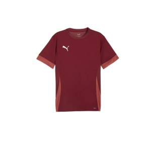 puma-teamgoal-matchday-trikot-rot-weiss-f09-705747-teamsport_front.png