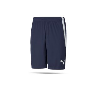 puma-teamliga-shorts-blau-f06-704924-teamsport_front.png
