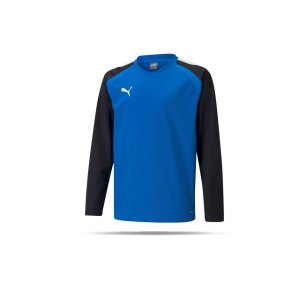 puma-teamliga-sweatshirt-kids-blau-f02-657239-teamsport_front.png