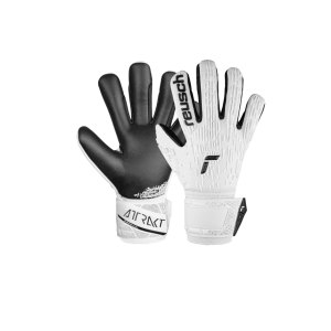 reusch-attrakt-freegel-silver-tw-handschuhe-f1101-5470035-equipment_front.png