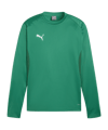 PUMA teamGOAL Training Sweatshirt Grün F05 - gruen