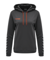 Hummel Authentic Poly Hoody Damen Grau F1525 - grau