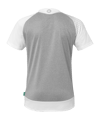 Kempa Ambition 28 Trikot Damen Grau F31 - grau