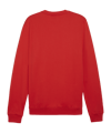 PUMA teamGOAL Casuals Sweatshirt Rot F01 - rot