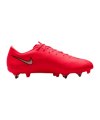Nike Air Zoom Mercurial Vapor XVII Academy SG Break'Em Rot F600 - rot