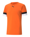 PUMA teamRISE Trikot Orange (008)