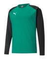 PUMA teamLIGA Trainig Sweatshirt Grün Schwarz (005)