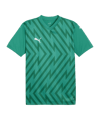 PUMA teamGLORY Trikot Grün Weiss Grün F05