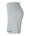 Nike Park III Short Grau F97 - grau