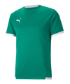 PUMA teamLIGA Trikot Grün (005)