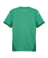 PUMA teamFINAL Trikot Grün Weiss Grün F05 - gruen