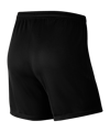 NIKE Park III Knit Shorts Damen (010) - schwarz