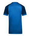 Nike Trophy VI Trikot Kids Blau F463 - blau
