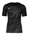 Nike Gardien V Torwarttrikot Grau F060