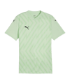 PUMA teamGLORY Trikot Grün Schwarz F60