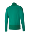 PUMA teamGOAL 23 Training 1/4 Zip Top (005) - gruen