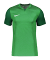 Nike Trophy V Trikot Grün F302