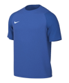 Nike Academy II Trikot Blau F463