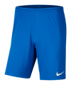 NIKE Park III Shorts (463)