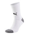 PUMA teamLIGA Socken Weiss (004) - weiss