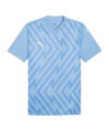 PUMA teamGLORY Trikot Blau Weiss Blau F18