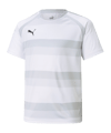PUMA teamVISION Trikot Kids Weiss Grau (004)