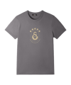 Galatasaray Istanbul Galatasaray Istanbul 5 Stars T-Shirt Grau - grau