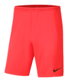 NIKE Park III Shorts (635)
