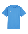 PUMA teamGOAL Trikot Kids Blau F02