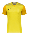 Nike Trophy V Trikot Gelb F719