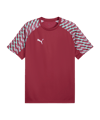 PUMA teamLIGA26 Trikot Rot F81