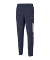 PUMA teamLIGA Sideline Pants Blau (006)