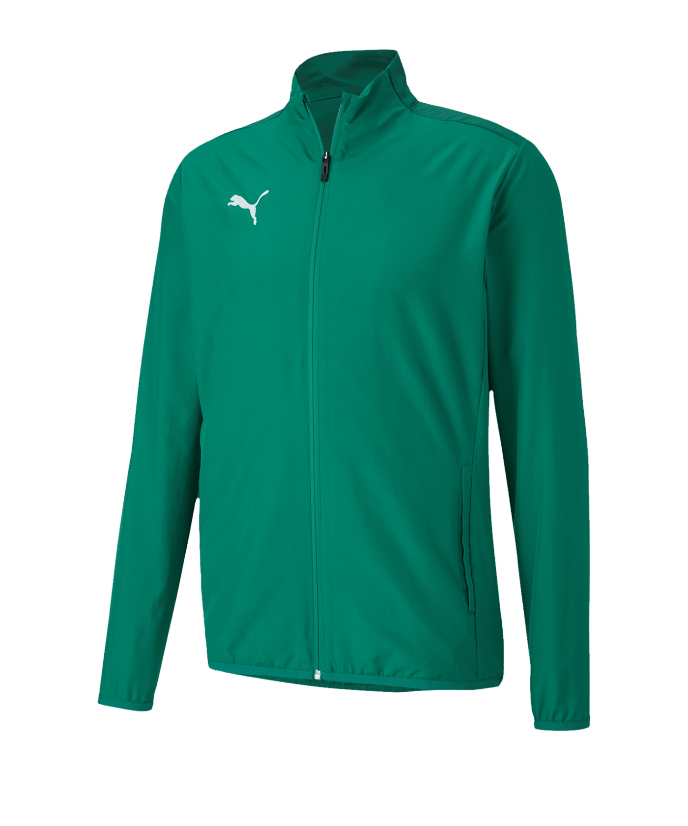 PUMA teamGOAL 23 Sideline Jacket (005) - gruen