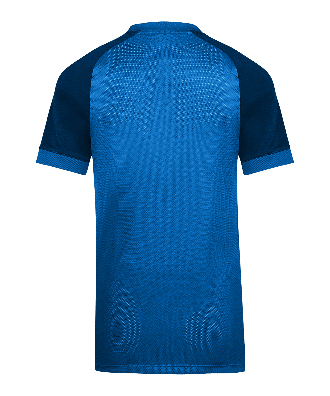 Nike Trophy VI Trikot Kids Blau F463 - blau