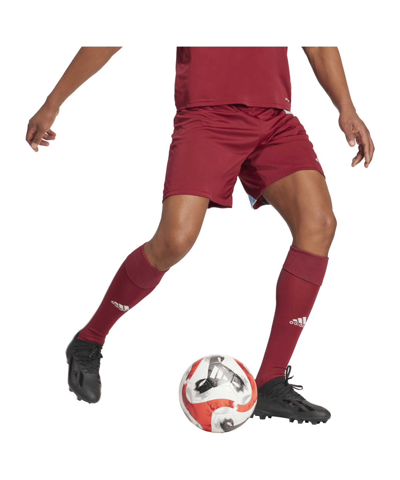 adidas Fortore 23 Short Rot Blau - rot