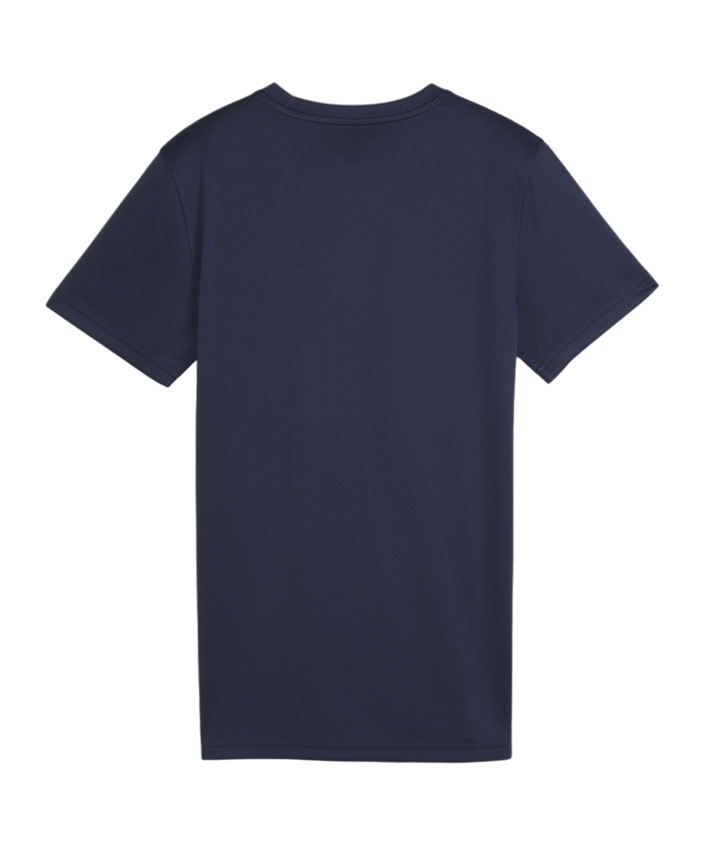 PUMA teamGOAL Trikot Damen Blau F06 - dunkelblau