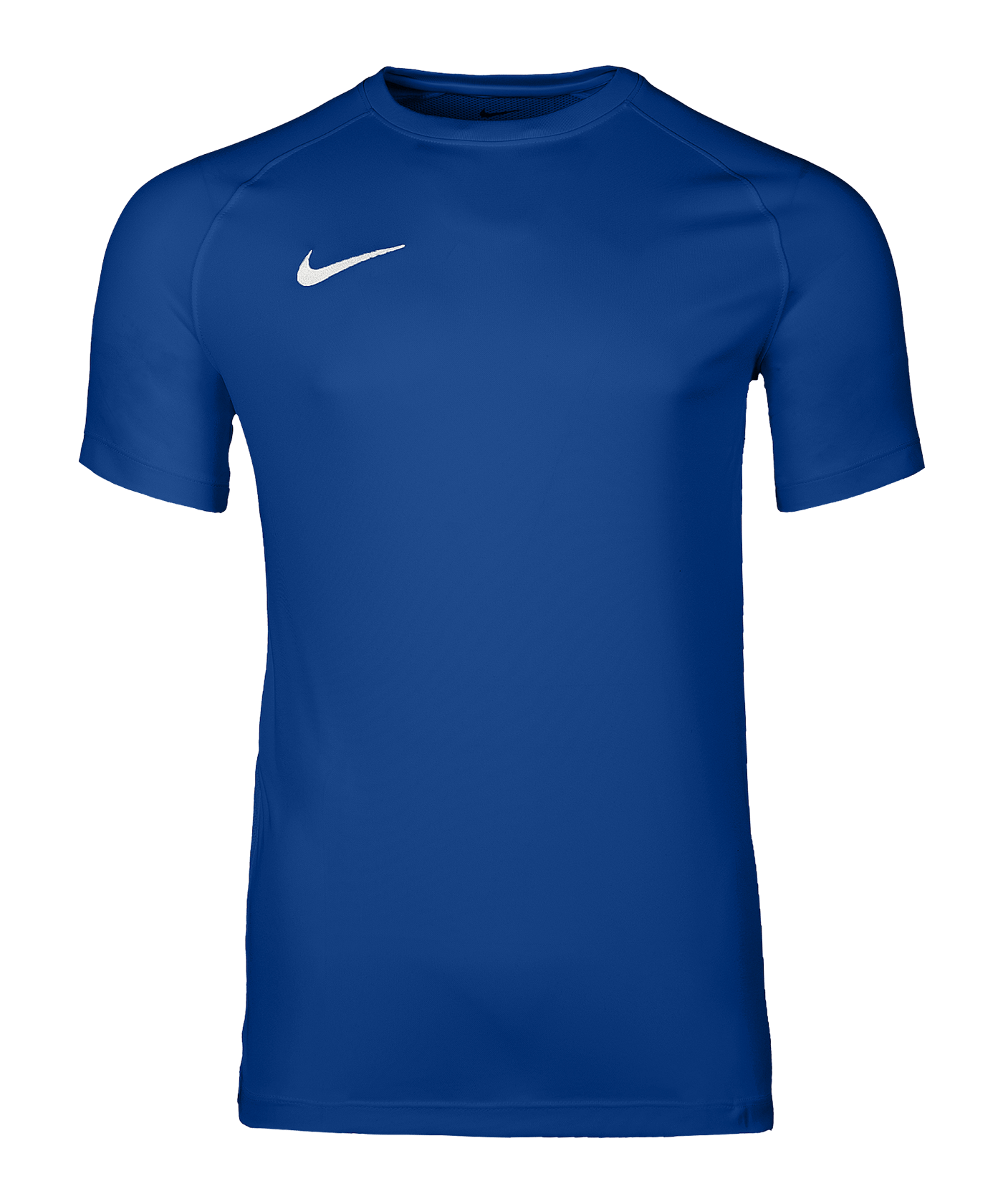 Nike Park VIII Trikot Blau F463 - blau