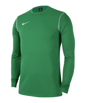 Nike Park 20 Sweatshirt Grün Weiss F302 - gruen