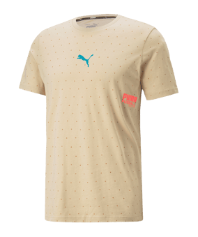 PUMA Fussball Street T-Shirt Beige (007) - beige
