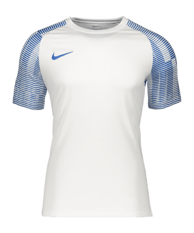Nike Academy Trikot Kids Weiss Blau (102) - weiss