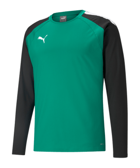 PUMA teamLIGA Trainig Sweatshirt Grün Schwarz (005) - gruen