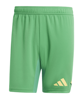 adidas Tiro 24 Pro Torwartshort Grün - gruen