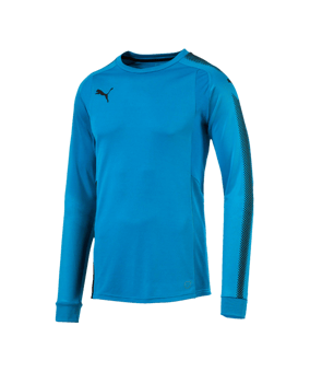 PUMA GK Shirt Torwarttrikot Kinder (062) - blau