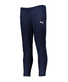 PUMA teamRISE Poly Training Pants Kinder (006) - blau