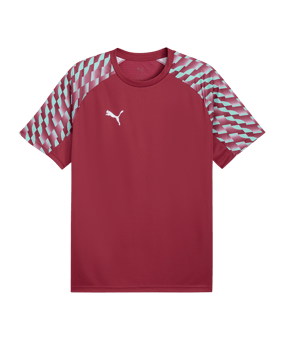 PUMA teamLIGA26 Trikot Rot F81 - rot