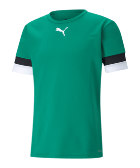 PUMA teamRISE Trikot Grün (005) - gruen